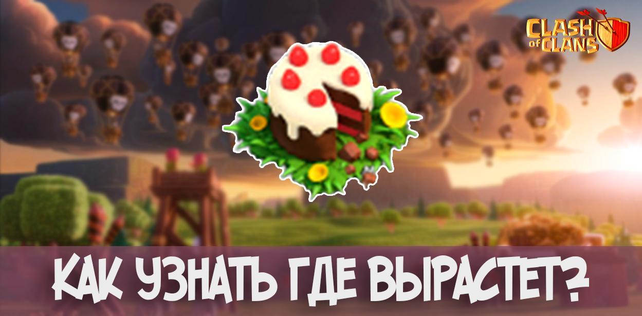 Как узнать где вырастет торт в честь пятой годовщины