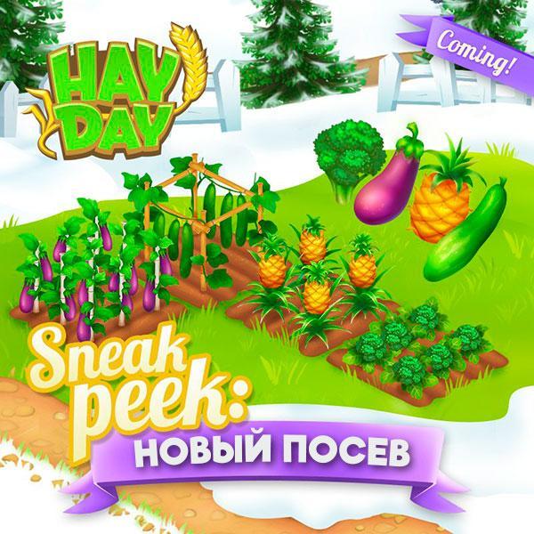 Sneak Peek #1 - новый посев в Hay Day