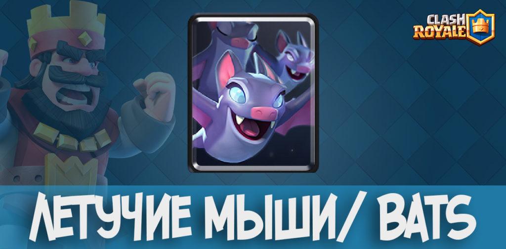 Летучие мыши/ Bats в Clash Royale