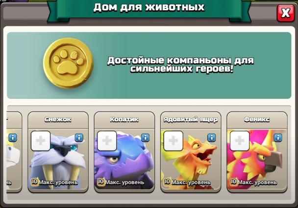 Дом для животных 8 уровень