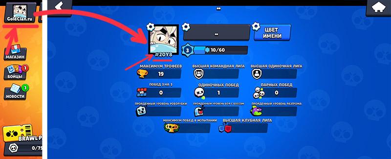 Тэг профиля на Moon Brawl